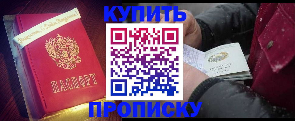 прописка гарантия в Шатуре